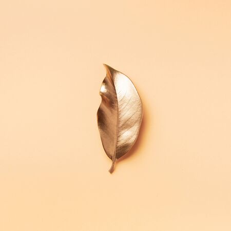 Golden leaf on nude background. Top view. Copy space. Summer and autumn concept. Creative design elements for invitation, wedding cards, valentines day, greeting cardsの写真素材