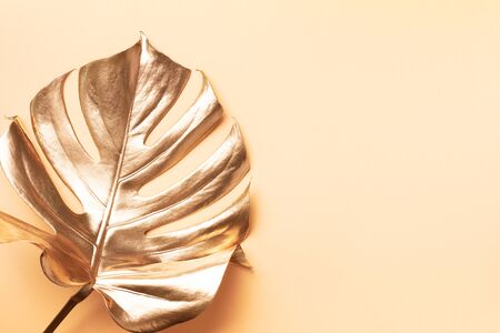 Floral minimal style concept. Exotic summer trend. Golden tropical palm monstera leaf on nude color background. Shiny and sparkle design, fashion concept.の写真素材