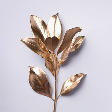 Floral minimal style concept. Exotic summer trend. Golden tropical leaves and branch on grey color background. Shiny and sparkle design, fashion concept.の写真素材