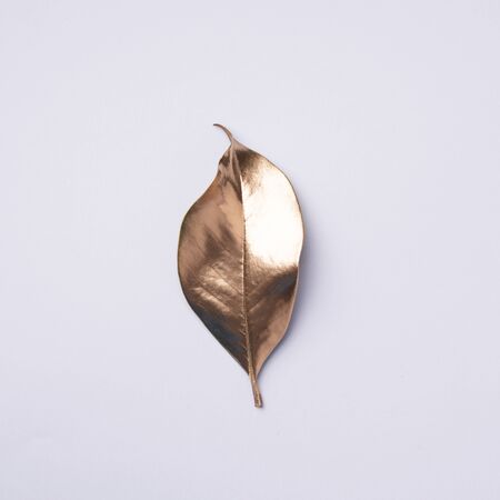 Golden leaf on grey background. Top view. Copy space. Summer and autumn concept. Creative design elements for invitation, wedding cards, valentines day, greeting cardsの写真素材