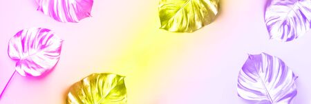 Exotic summer trend in minimal style. Golden tropical palm monstera leaf with trendy neon colors....