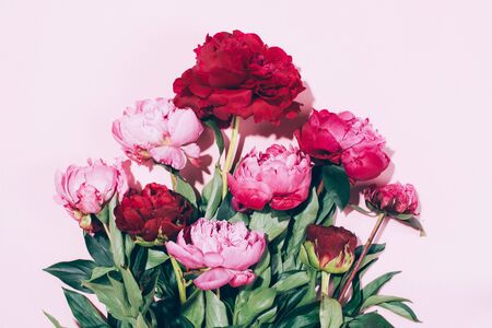 Floral frame. Pink peonies with hard shadow on pastel background, copy space. Trendy pattern, summer concept. Top viewの写真素材