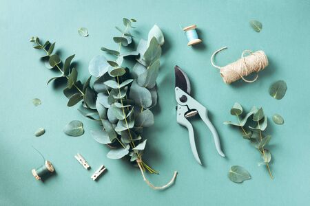 Eucalyptus bouquet creating with baby blue eucalyptus branches over green background. Florist work concept. Top view. Flat layの写真素材