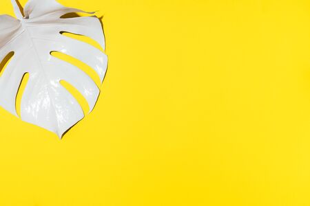 Summer composition. White tropical palm leaves on yellow background. Summer concept. Flat lay, top view, copy space.の写真素材