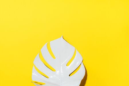 White painted monstera tropical leaf on yellow background. Summer minimal conceptの写真素材