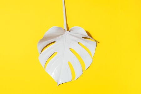 Summer composition. White tropical palm leaves on yellow background. Summer concept. Flat lay, top view, copy space.の写真素材