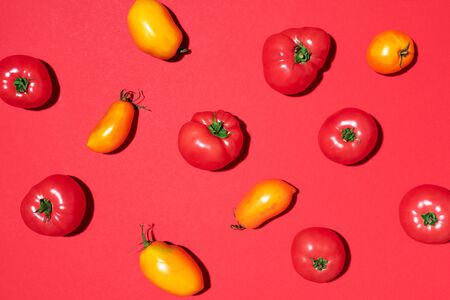 Yellow and red tomatoes pattern on red background. Flat lay, top view. Summer minimal concept. Vegan and vegetarian dietの写真素材