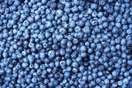 Macro texture of blueberry berries close up. Border design. Summer, vitamin, vegan, vegetarian concept. Healthy food. Fresh blueberries background with copy space for your text.の写真素材