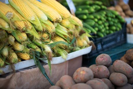Woman chooses fruits and vegetables at farmers market. Zero waste, plastic free concept. Sustainable lifestyle. Reusable cotton and mesh eco bags for shoppingの写真素材