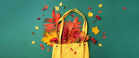Autumn flat lay composition. Dry maple autumn leaves in yellow shopping bag on green background. Top...