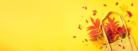 Autumn flat lay composition. Dry maple autumn leaves in yellow shopping bag on yellow background....