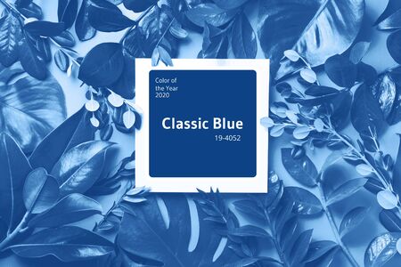 Creative layout made of tropical leaves in monochrome color. Trendy blue and calm color. Flat lay. Top view. Mock up.の写真素材