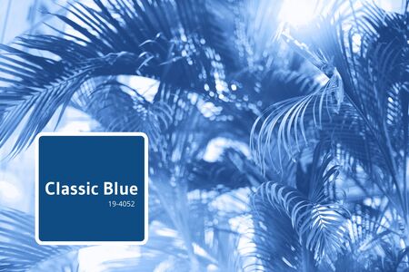 Fashion collage with nature textures, leaves. backgrounds inspired by trendy blue color of the year 2020.の写真素材