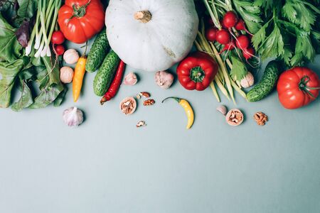 Autumn vegetables on green background. Top view. Vegan and vegetarian diet, harvest concept. Ingredients for cooking - pumpkin, tomatoes, cucumber, pepper, beetroot, celery, garlic, radishの写真素材