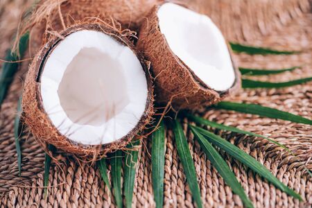 Coconuts with palm leaves on rattan background. Copy space. Creative design banner. Summer time. Tropical travel, exotic coconut fruit. Vegan and vegetarian conceptの写真素材