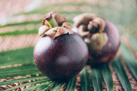 Mangosteen with palm leaves on rattan background. Copy space. Tropical travel, exotic fruit. Vegan and vegetarian concept.の写真素材
