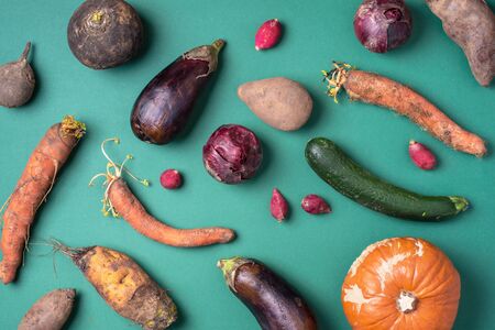 Trendy ugly organic vegetables. Assortment of fresh eggplant, onion, carrot, zucchini on green...