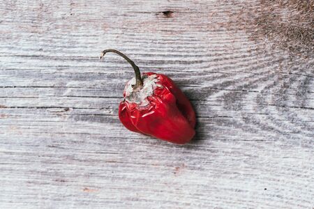 Moldy and wrinkled rotten peppers. Concept of unhealthy, decompose, spoiled vegetables. Garbage dump rotten food on wooden background. Top view. Copy space. Waste concept.の写真素材