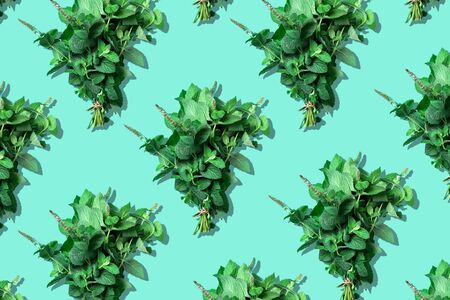 Bunches of peppermint leaves pattern on trendy green background. Top view. Copy space. Fresh mint herbs. Creative design, minimal flat lay concept. Vegan and vegetarian foodの写真素材