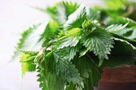 Green nettle leaves in wooden pot on grey background. Alternative herbal medicine. Stinging nettles, urtica. Skin allergy care.の写真素材