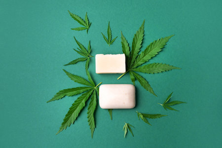 Hemp soap and hemp leaves on green background. Top view. Copy space. Banner. Cannabis extract cosmetics. Ecological healthy skin care and body treatment. Skin allergy careの写真素材