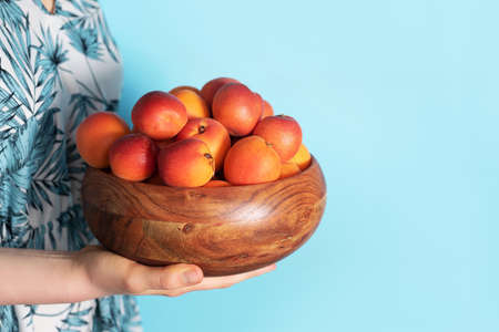Woman hands holding wooden bowl of apricot on blue background. Banner with copy space. Fruit summer concept. Bowl of harvested apricots for jamの写真素材