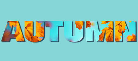 Inscription Autumn made with yellow leaves on blue sky background. Text for your design. Golden...