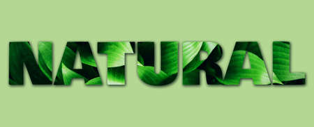 Inscription Natural made with green leaves texture. Tropical leaf background. Text for your design. Banner. Top viewの写真素材