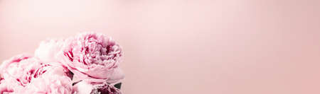 Wedding, birthday, anniversary bouquet. Pink peony flower on pastel background. Copy space. Trendy pastel floral composition. Woman day, Mothers day. Macro of peonies flowersの写真素材