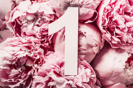 Creative layout. Pink peony flowers and digit one 1. Birthday greeting card. Anniversary concept....