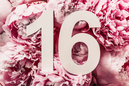 Creative layout. Peony flowers, digit sixteen. Birthday greeting card with inscription 16. Anniversary concept. Top view. Copy space. Stylish white numeral on flower background. Numerical digitの写真素材