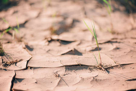 Dry land ground. Global warming problem. Desert concept. Cracked soil caused by dehydration. Water crisis. Cracked earthの写真素材