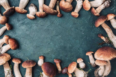 Boletus edulis mushrooms on dark background. Copy space. Top view. Organic forest food, edible fresh picked Porcini mushroom. Autumn harvest conceptの写真素材