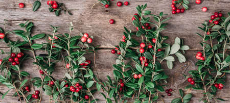 Summer red lingonberry, fruits of Vaccinium vitis-idaea. Colourful bright pattern made of natural berries on wooden background. Top view. Autumn harvest concept. Copy spaceの写真素材