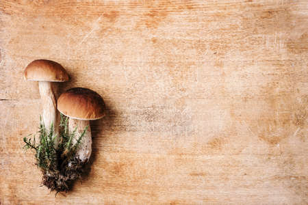 Boletus edulis mushroom on wooden background. Copy space. Top view. Organic forest food, edible fresh picked Porcini mushroom. Autumn harvest concept. Cep mushroom pickingの写真素材