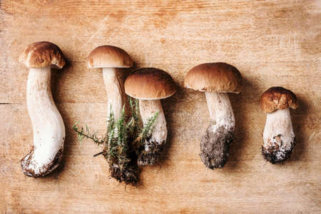 Fresh forest boletus mushrooms on wooden background. Top view. Copy space. Autumn harvest concept. Fresh picked Porcini mushrooms in basketの写真素材