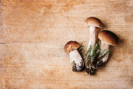 Fresh forest boletus mushrooms on wooden background. Top view. Copy space. Autumn harvest concept. Fresh picked Porcini mushrooms in basketの写真素材