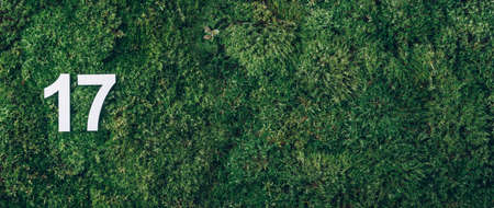 Ecology, zero waste. Green grass, digit seventeen. Birthday greeting card with inscription 17. Anniversary concept. Banner. Top view. Copy space. White numeral on eco moss background. Numerical digitの写真素材