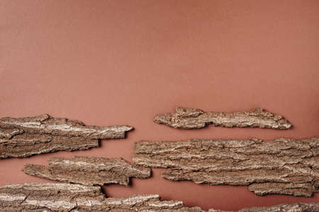 Creative composition for design with bark tree, wooden texture on brown background for organic cosmetic products. Top view. Copy space. Environmentally clear nature conceptの写真素材