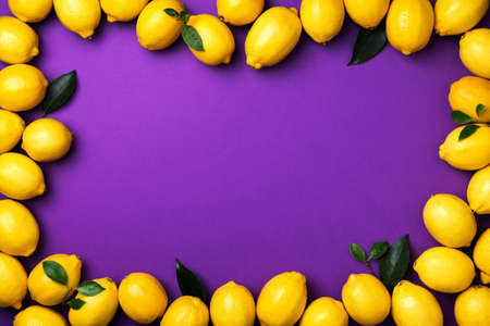 Lemons frame on violet background. Immune system booster. Copy space. Top view. Flat lay. Citrus...