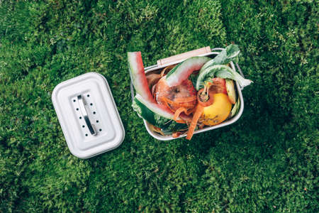 Recycle kitchen waste. Sustainable and zero waste living. Vegetable waste in recycling compost pot. top view. Copy space. Peeled vegetables in white compost bin on green grass, moss backgroundの写真素材