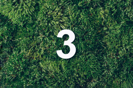 Ecology, zero waste. Green grass and digit three 3. Birthday greeting card. Anniversary concept. Top view. Copy space. White numeral over eco moss background. Numerical digit.の写真素材