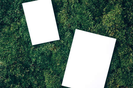 Creative layout made of square card note on green grass, moss background. Top view. Copy space. Advertising card, invitation. Wild nature, ecology concept. Sustainable, organic, zero waste lifestyleの写真素材
