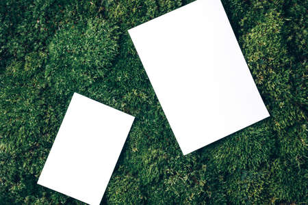 Creative layout made of square card note on green grass, moss background. Top view. Copy space. Advertising card, invitation. Wild nature, ecology concept. Sustainable, organic, zero waste lifestyleの写真素材