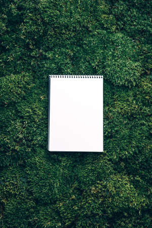 Craft notebook, white sketch book on fresh spring green grass, moss background. Copy space. Top view. Wild nature, ecology concept. Summer forest. Sustainable, organic, zero waste lifestyleの写真素材