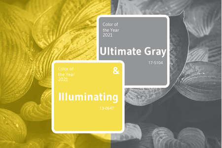 Leaves background. Demonstrating trendy Color of the Year 2021. Illuminating Yellow and Ultimate...