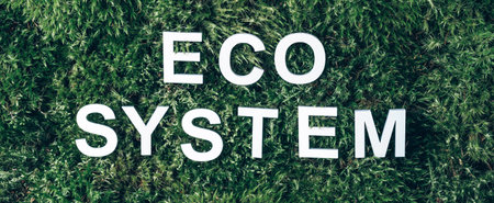 Word ecosystem on moss, green grass background. Top view. Copy space. Banner. Biophilia concept. Nature backdropの写真素材