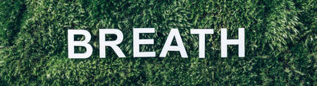 Word Breath on moss, green grass background. Top view. Copy space. Banner. Biophilia trend. Nature backdrop. Peace of Mind, health concept. Take a deep breath. Health, wellness conceptの写真素材
