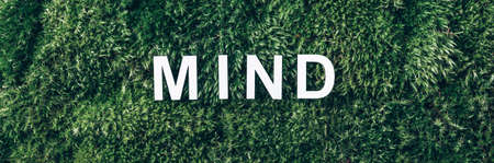Word Mind on moss, green grass background. Top view. Copy space. Banner. Biophilia concept. Nature backdrop. Body, mind, spirit and soul conceptの写真素材