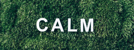 Word Calm on moss, green grass background. Top view. Copy space. Banner. Biophilia concept. Nature backdropの写真素材